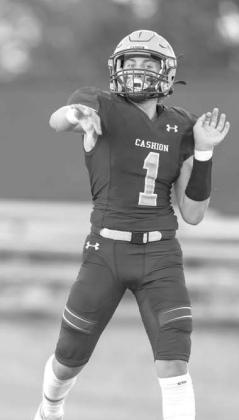 Wildcats earn all-district 