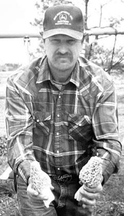 Dan Marlow Dan Marlow