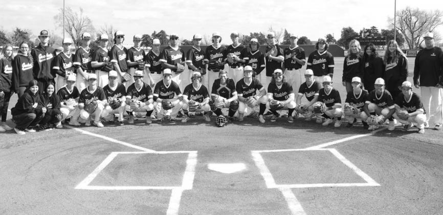 KINGFISHER YELLOWJACKETS