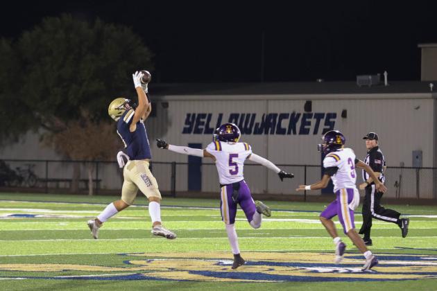 Article Image Alt Text