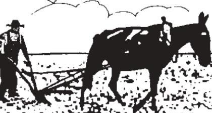 In Flanders Field’ had its detractors, too