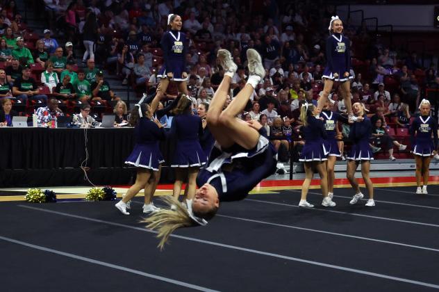 Article Image Alt Text