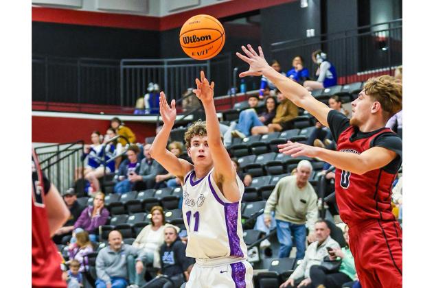 Article Image Alt Text