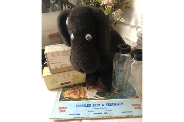 Article Image Alt Text