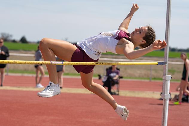 Article Image Alt Text