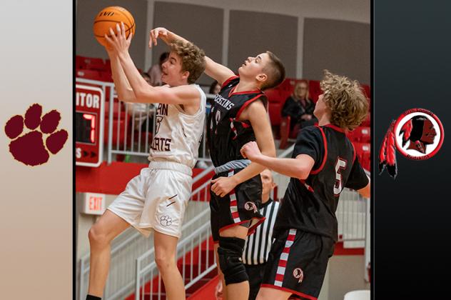 Article Image Alt Text