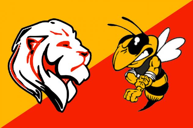 Article Image Alt Text