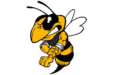 Kingfisher Yellowjackets Article Image Alt Text