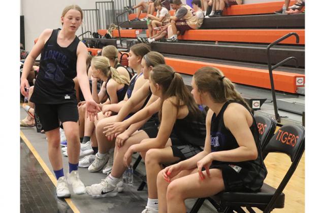 Article Image Alt Text