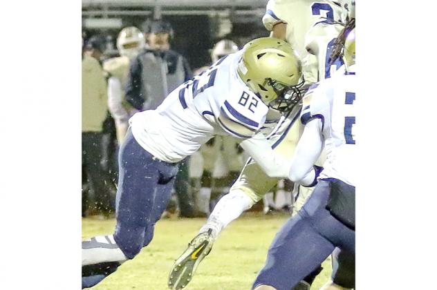 Article Image Alt Text