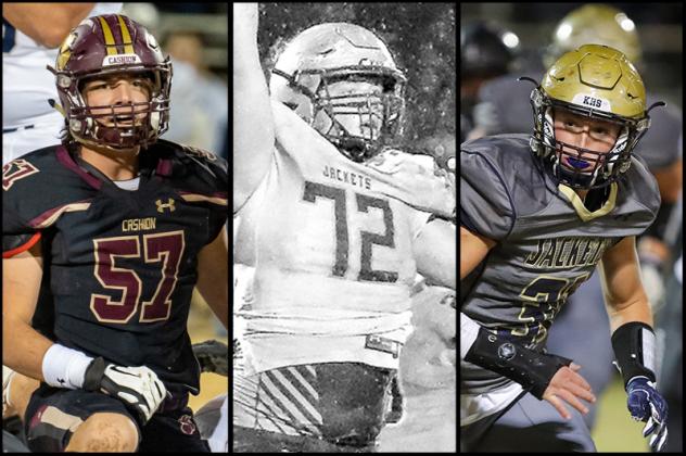 Article Image Alt Text