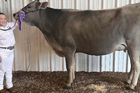 Junior Livestock Show Grand Champions