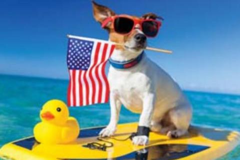 Annual duck race caps off   local 4th