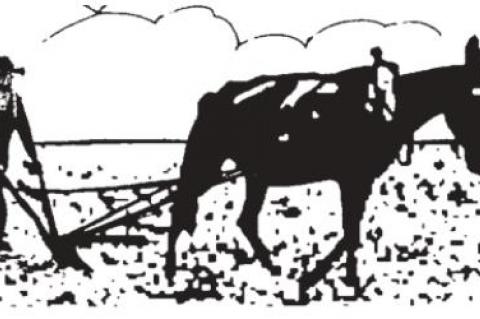 Conservatives need this kind of leaders