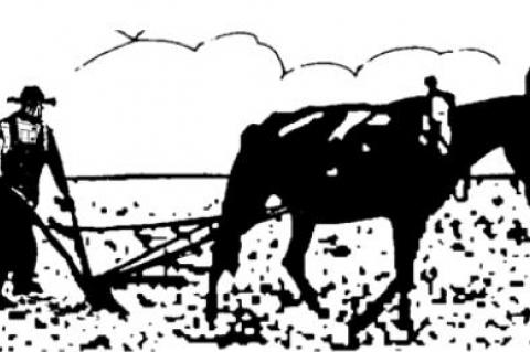 The beauty of age ... and his