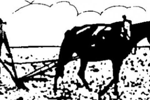 Nation’s government, history targeted