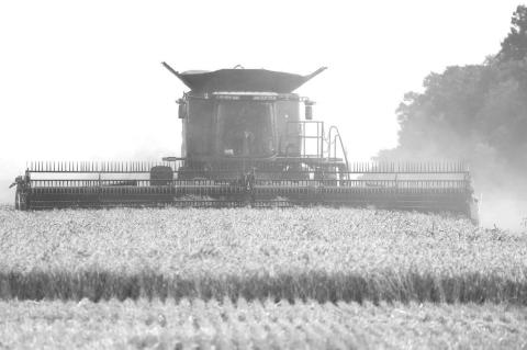 DUST FILLED the sky when the Newers were harvesting a field west of Kingfisher just over a week ago. Now local crews are struggling to find ground dry enough to reconvene the 2025 harvest. [KT&amp;FP Staff Photo]