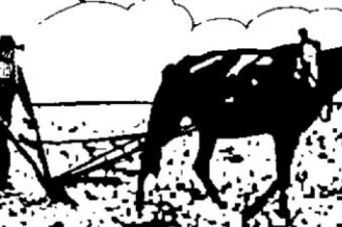 ‘White supremacists’ all important to left