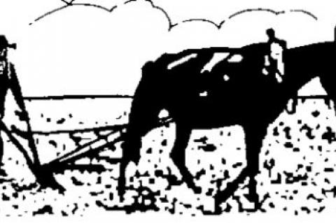 Empathy for Joe Biden