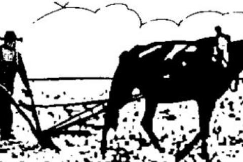 Big oil’s profits not at top of list