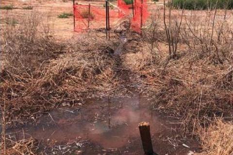 Saltwater purge leads to lawsuit