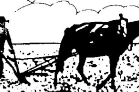 Why do black people even come to ‘racist’ U.S.?