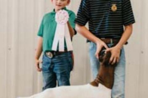 kingfisher County Fair Livestock show winners