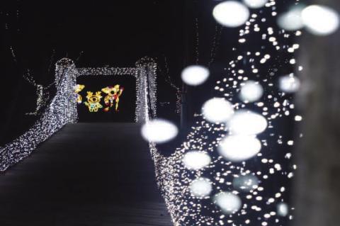 One tree lighting down...one to go