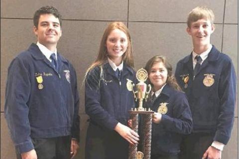 Article Image Alt Text