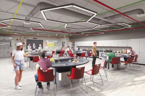 Cashion attempts to catch growth