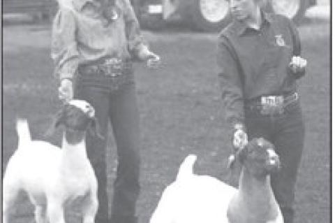 Scenes from the 95th Kingfi sher County Spring Livestock Show featuring local FFA exhibitors