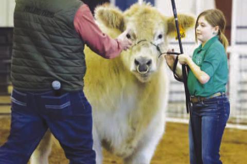 Scenes from 94th Kingfisher County Spring Livestock Show