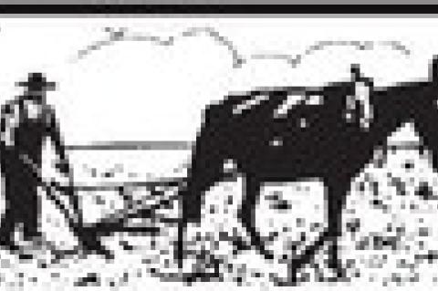 A Biden tax hike in your future?