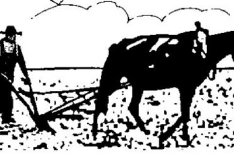 Earlier times busy . . . but free