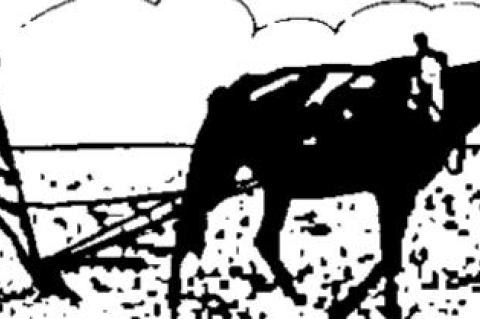 Rome still provides example for republics