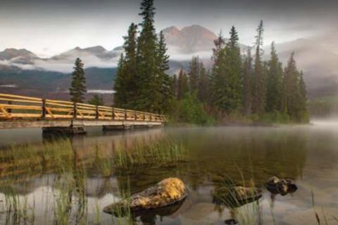 In the Eye of the Beholder