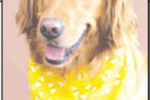 Providing comfort once again