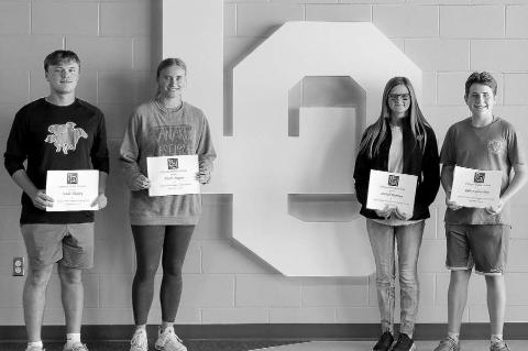 Article Image Alt Text