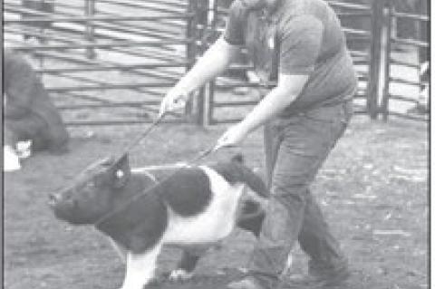 Scenes from the 95th Kingfi sher County Spring Livestock Show featuring local FFA exhibitors