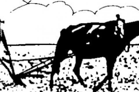 View From Behind The Plow 