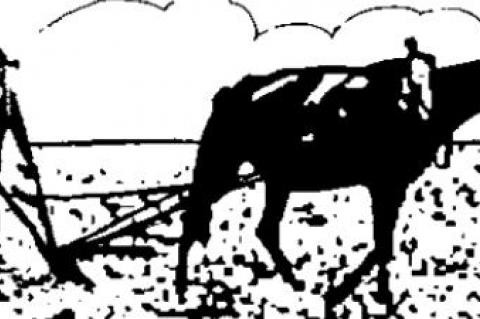 Were those riots happening in a foreign country?