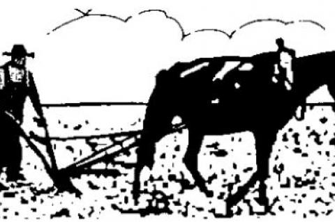 Election scam and Trump team’s response