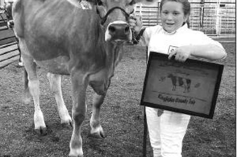 Article Image Alt Text