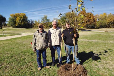 Planting in the Park