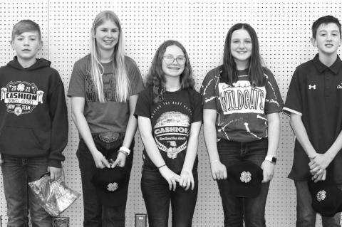 County 4-H’ers compete in quiz bowl, skillathon