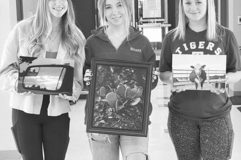 Cashion names monthly photography winners
