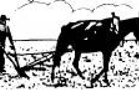 It’s lonely at the top