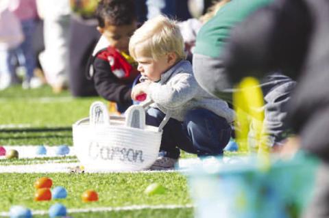 READY... SET ... HUNT!