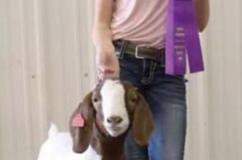 Junior Livestock Show Grand Champions