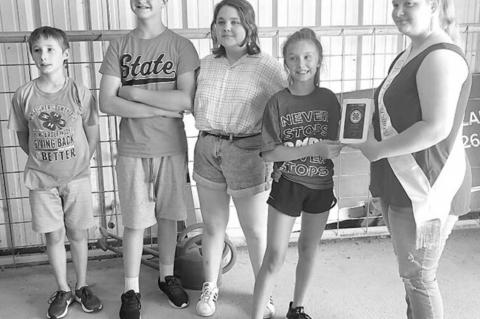 4-H dairy judging team, individuals have strong showings at Perkins, OSU